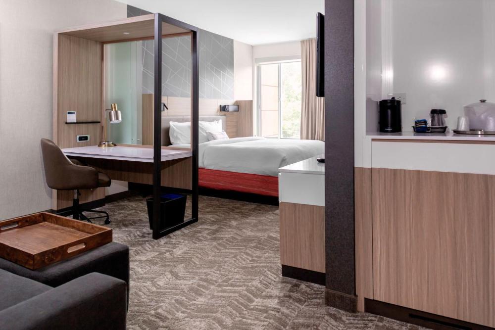 King Suite with Roll-In Shower and Trundle Sofa - Mobility Access interior
